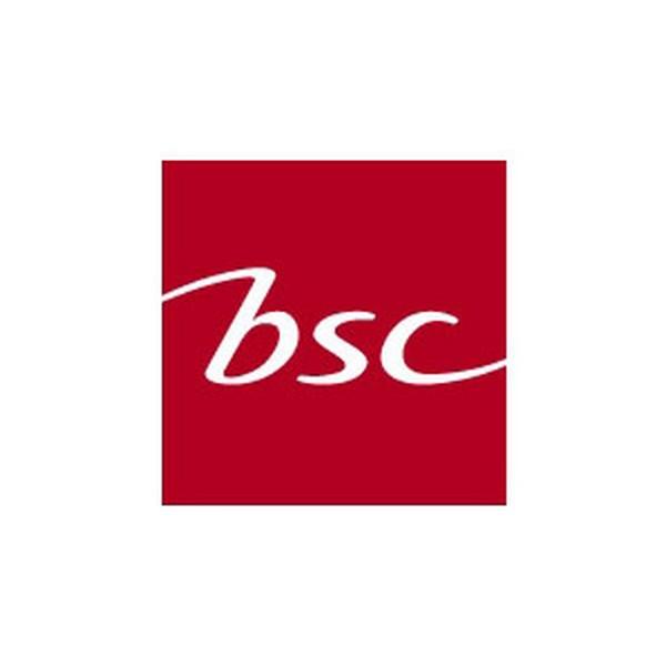 BSC