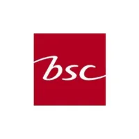 شعار BSC